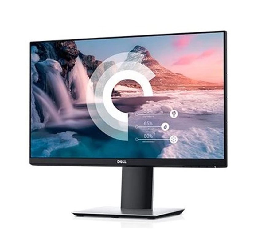 Dell 24 Monitor P2419H
